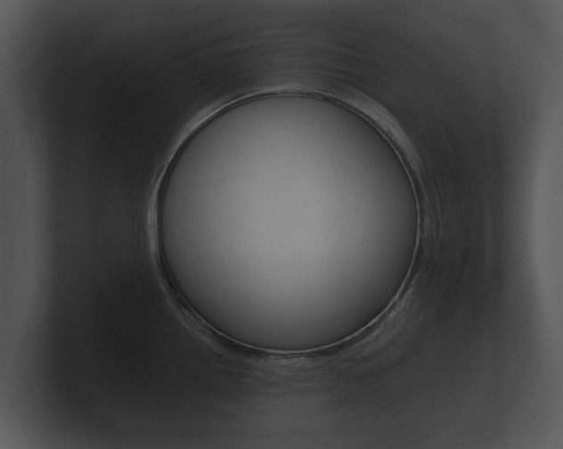 X0000100891242200806241002