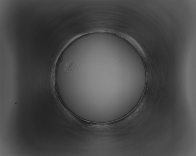X0000100891244200806241002
