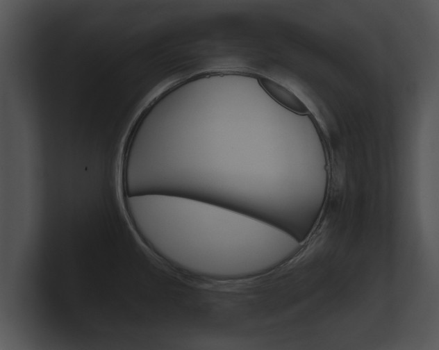 X0000100891245200806241002