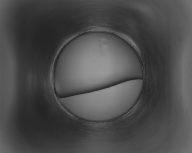 X0000100891247200806241002