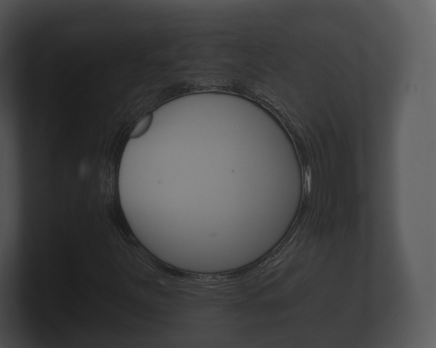 X0000100891251200806241001