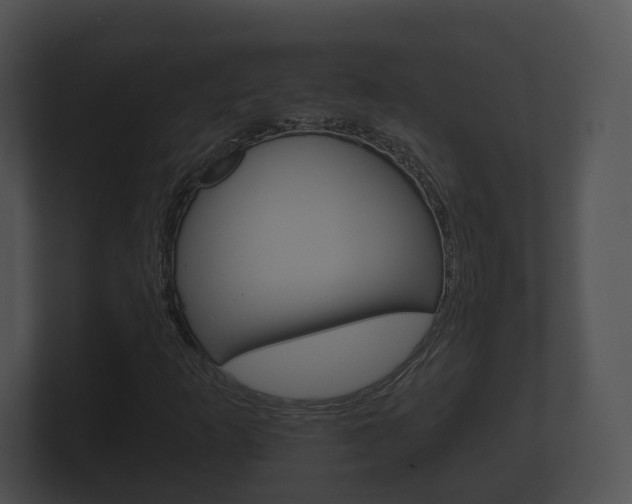 X0000100891253200806241001