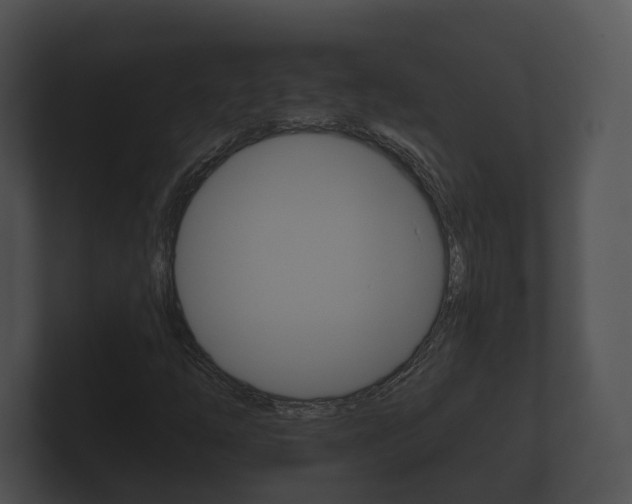 X0000100891254200806241001