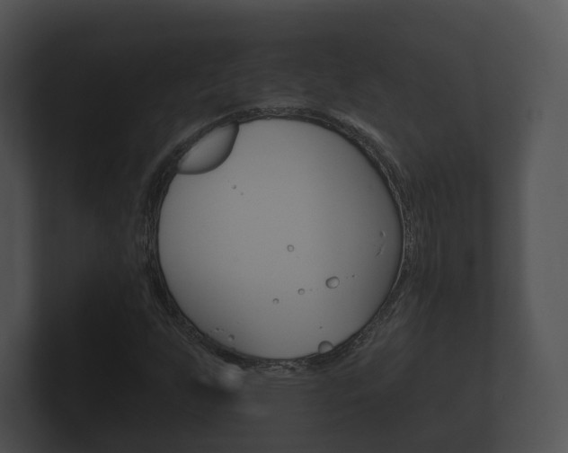 X0000100891255200806241001
