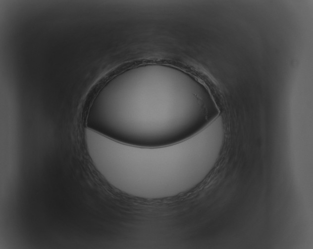 X0000100891256200806241001