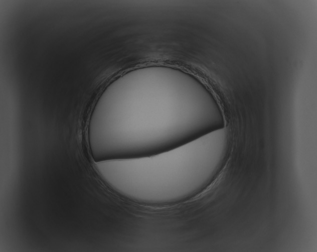 X0000100891257200806241001