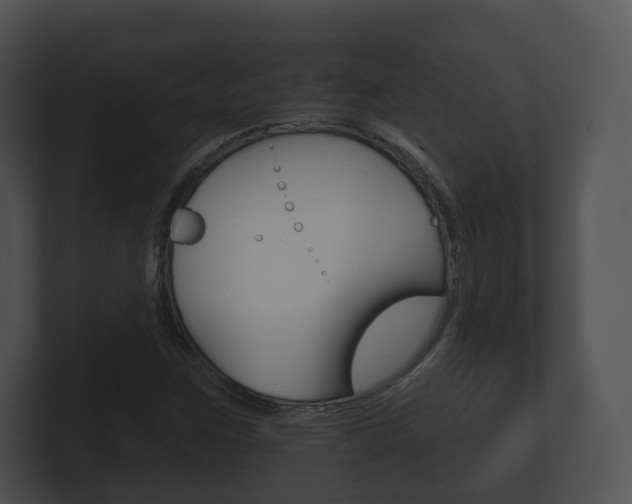 X0000100891259200806241001