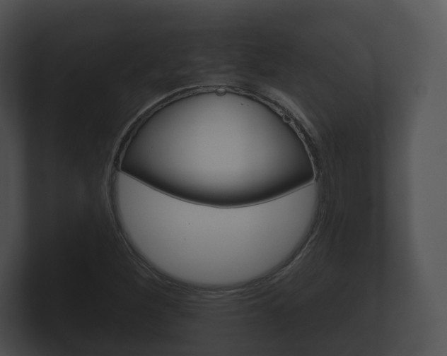 X0000100891260200806241001