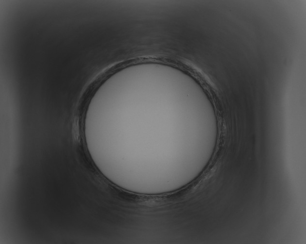 X0000100891262200806241001