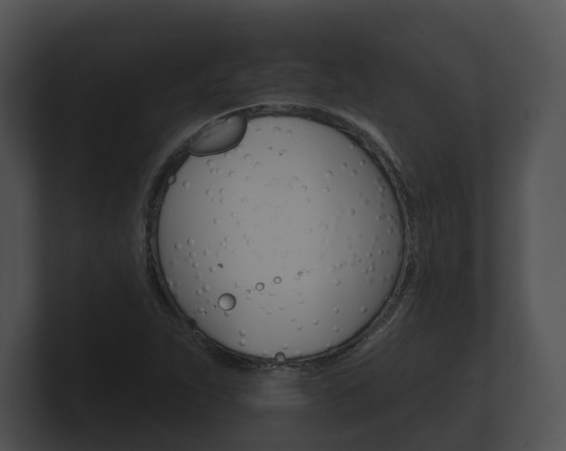 X0000100891263200806241001