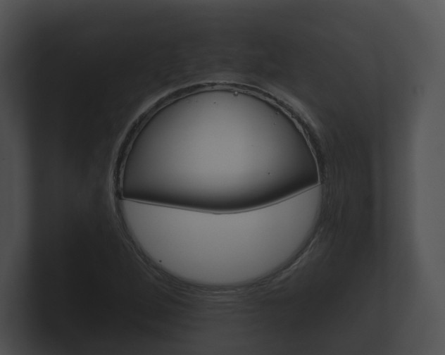 X0000100891264200806241001