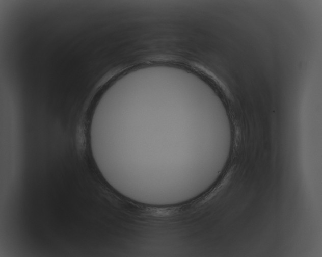 X0000100891266200806241001