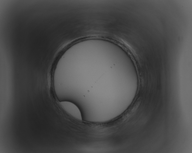 X0000100891267200806241001