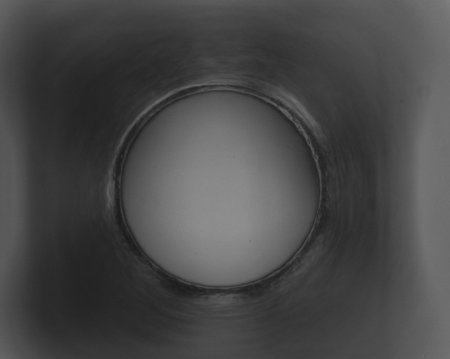 X0000100891268200806241001
