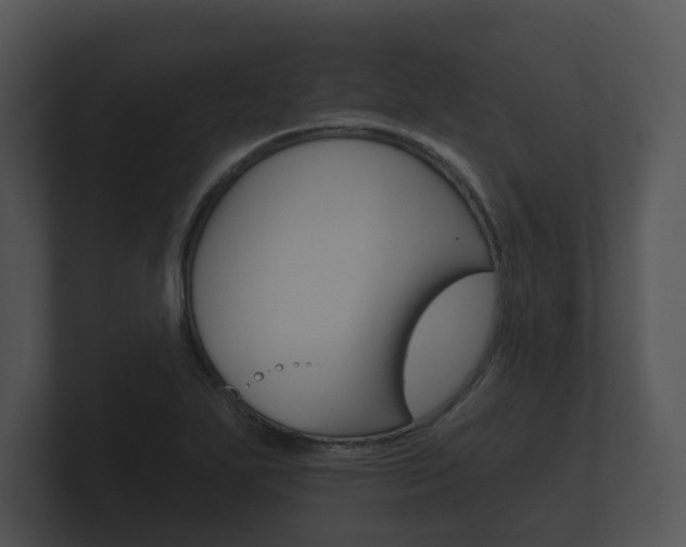 X0000100891271200806241001