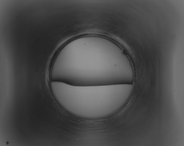 X0000100891272200806241001