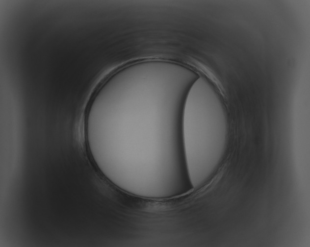 X0000100891275200806241001
