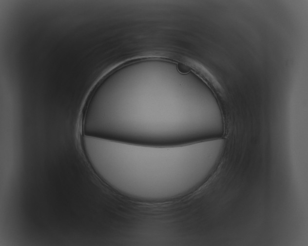 X0000100891276200806241001