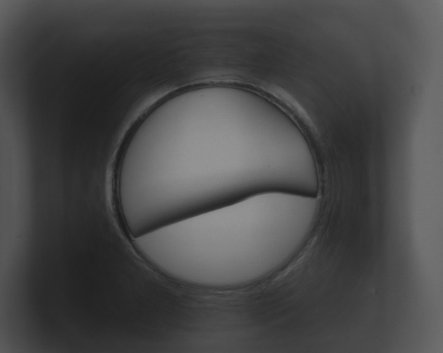 X0000100891277200806241001