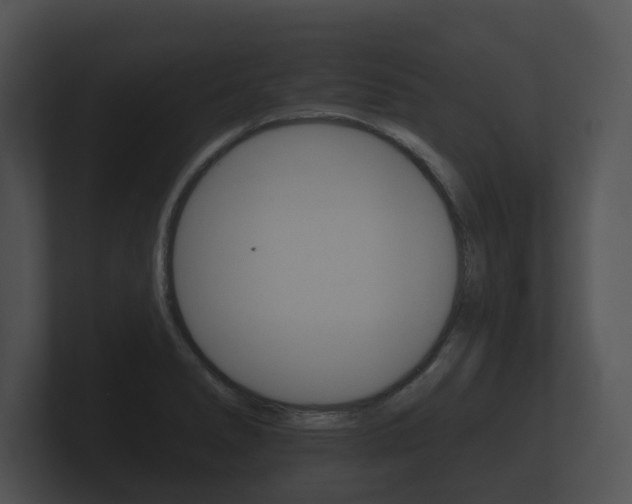 X0000100891278200806241001