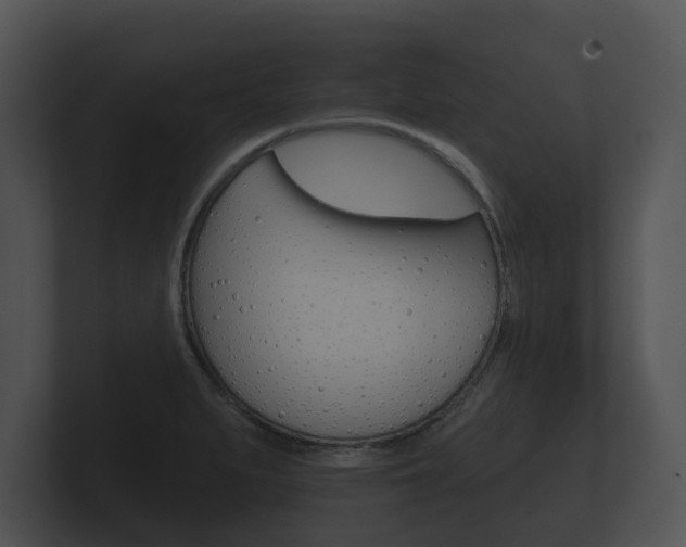 X0000100891279200806241001