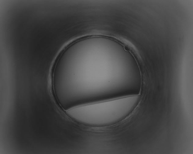 X0000100891280200806241001