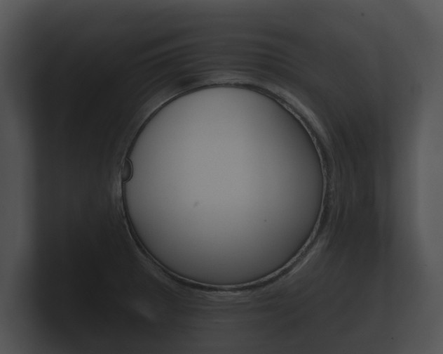 X0000100891281200806241001