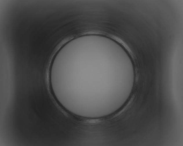 X0000100891282200806241001