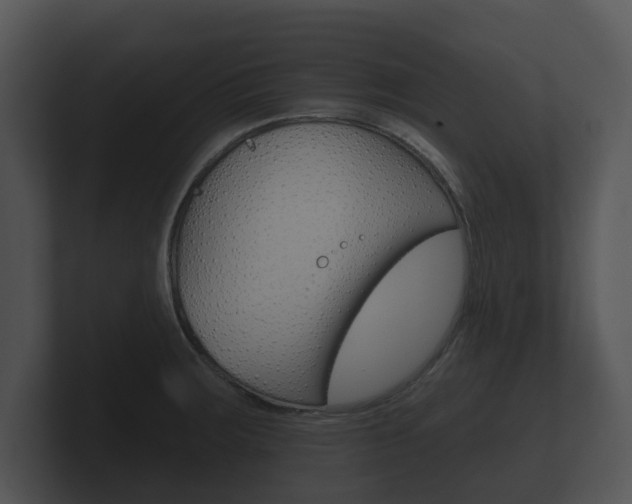 X0000100891283200806241001
