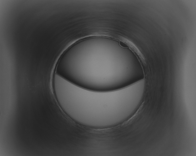 X0000100891284200806241001