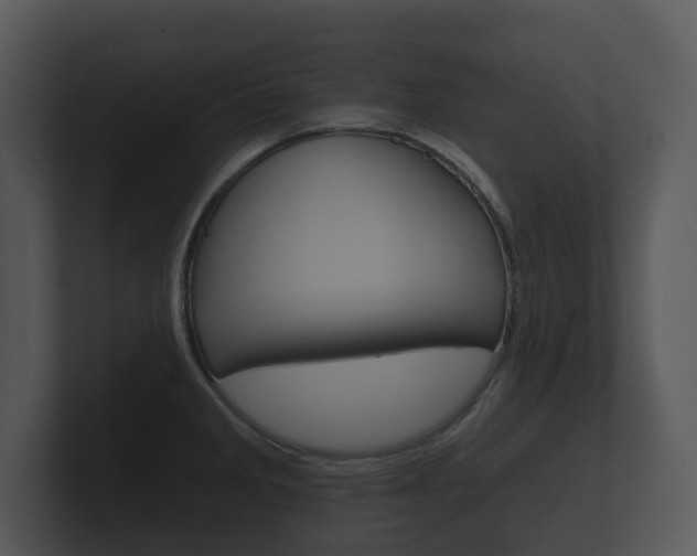 X0000100891285200806241001