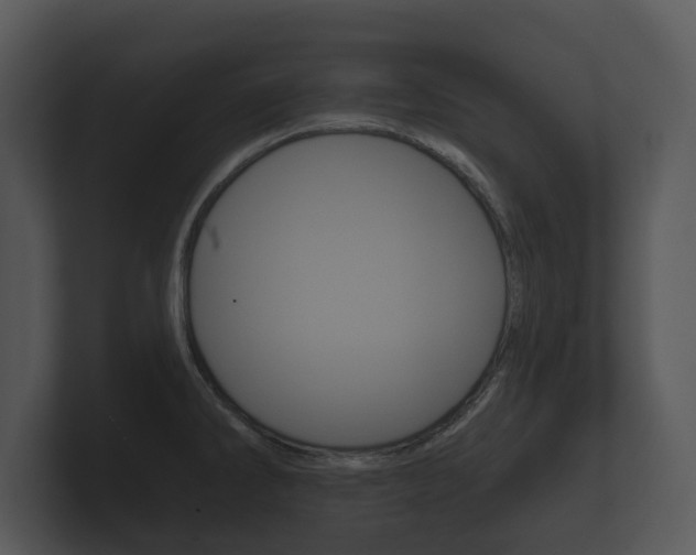 X0000100891286200806241001