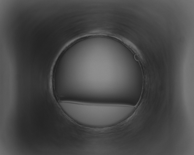X0000100891288200806241001