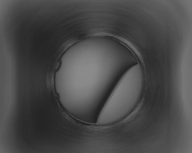 X0000100891289200806241001