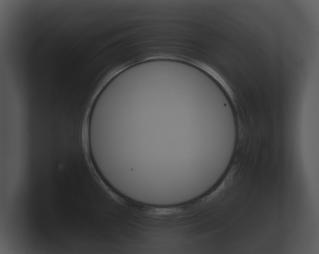 X0000100891290200806241001