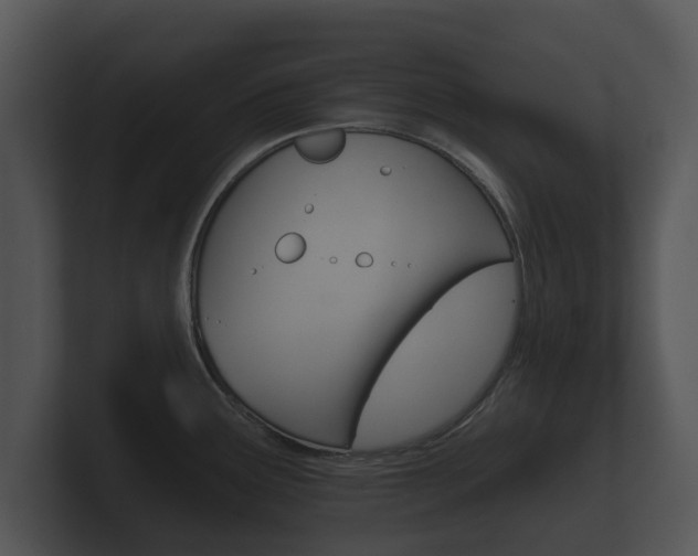 X0000100891291200806241001