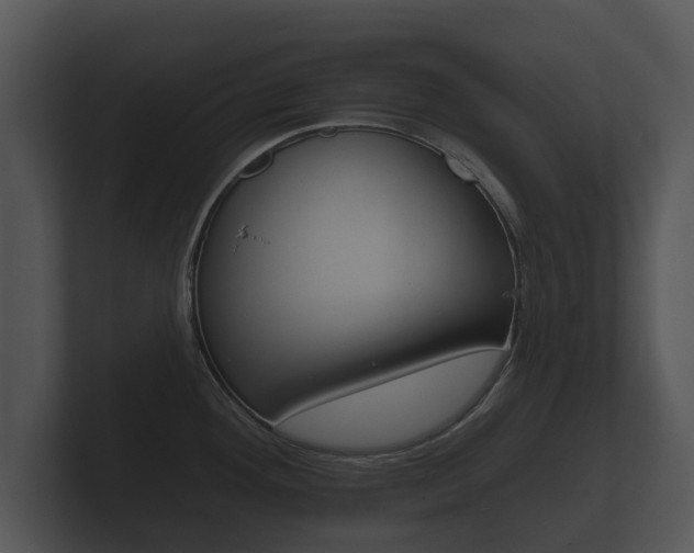 X0000100891292200806241001