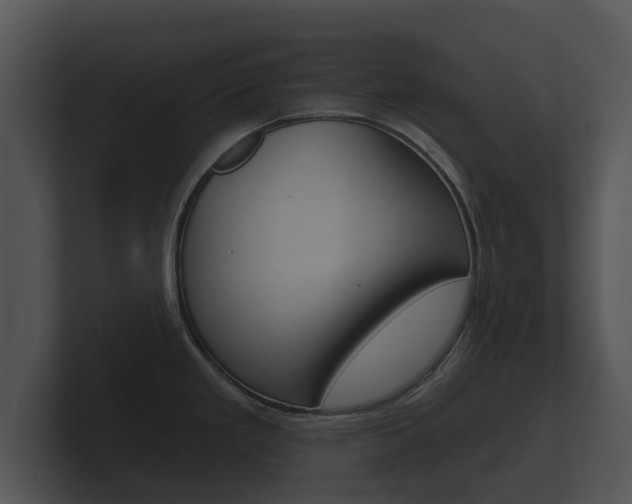 X0000100891293200806241001