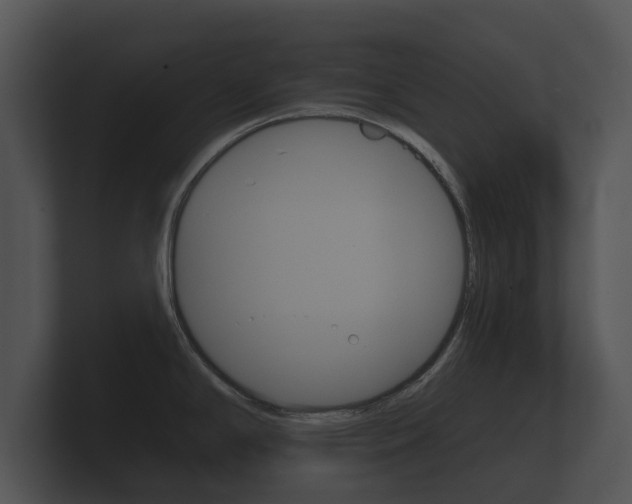 X0000100891294200806241001