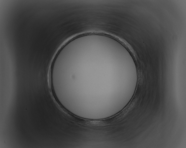X0000100891295200806241001