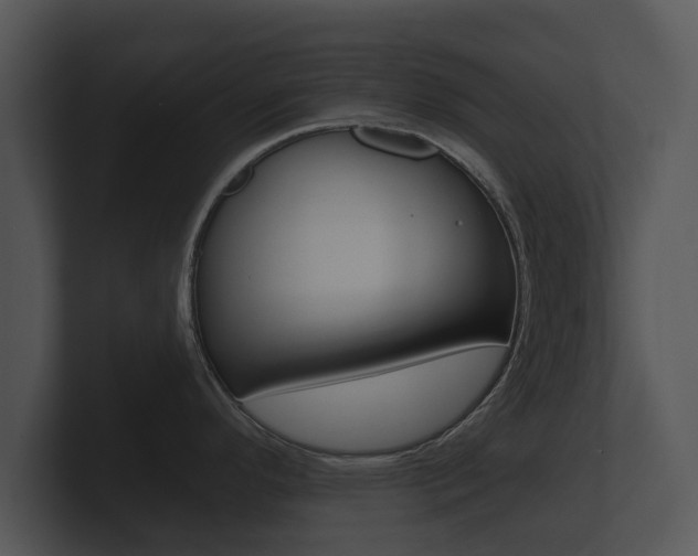 X0000100891296200806241001