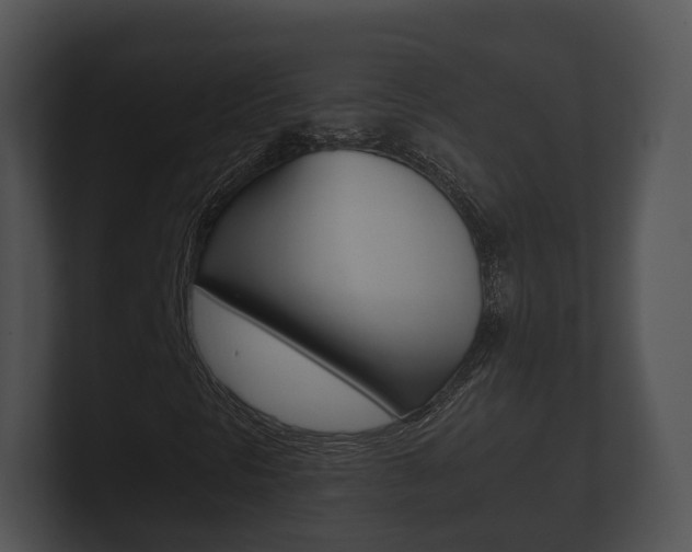 X0000100891297200806241000