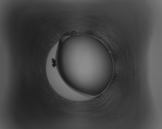 X0000100891298200806241000