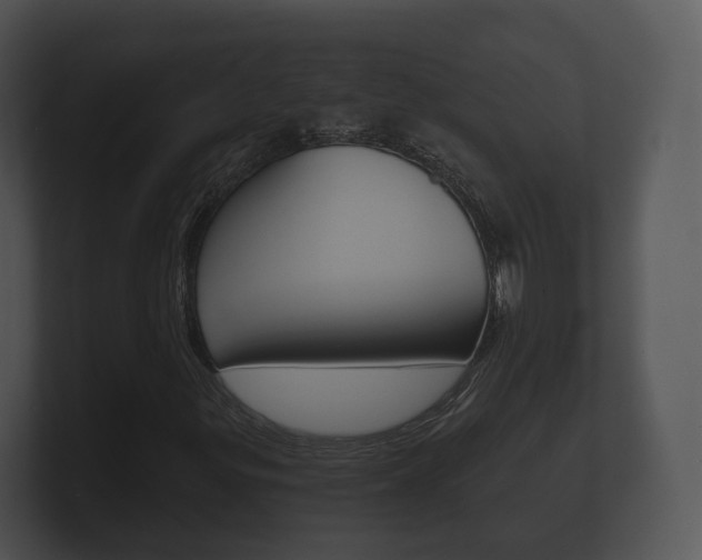 X0000100891299200806241000