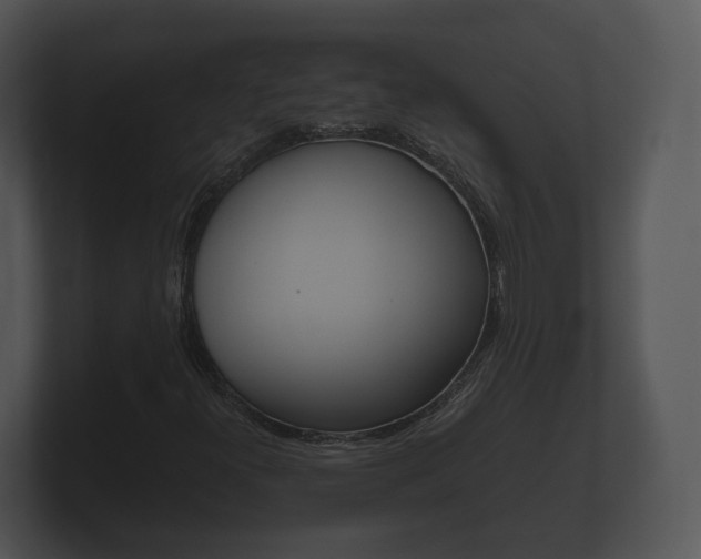 X0000100891300200806241000