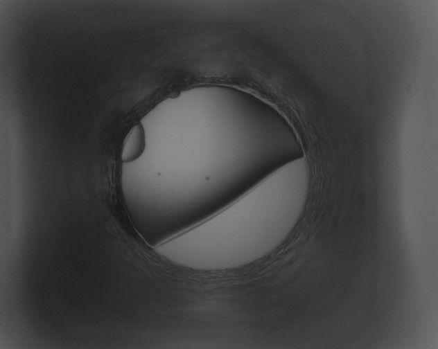 X0000100891301200806241000