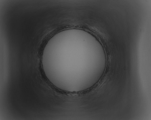 X0000100891302200806241000