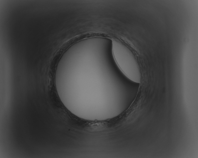 X0000100891303200806241000