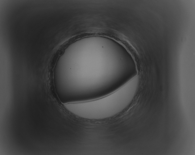 X0000100891304200806241000