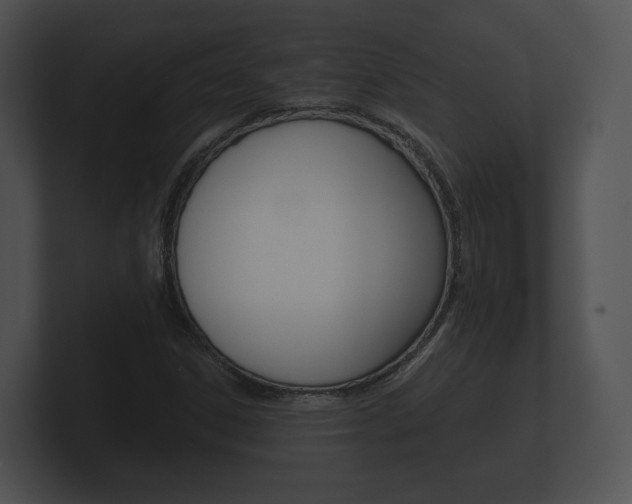 X0000100891306200806241000